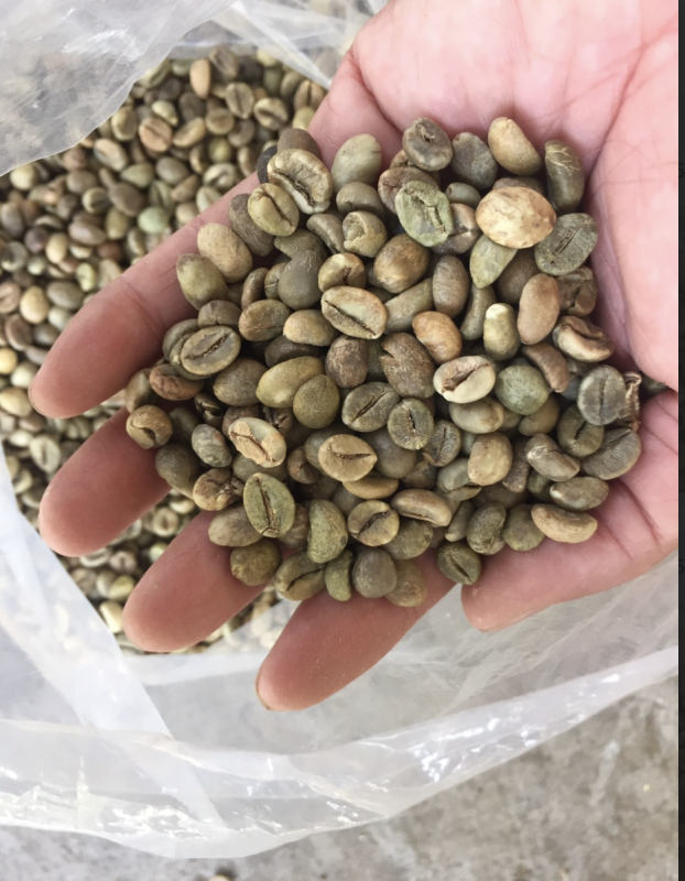 Kopi biji hijau from Vietnam